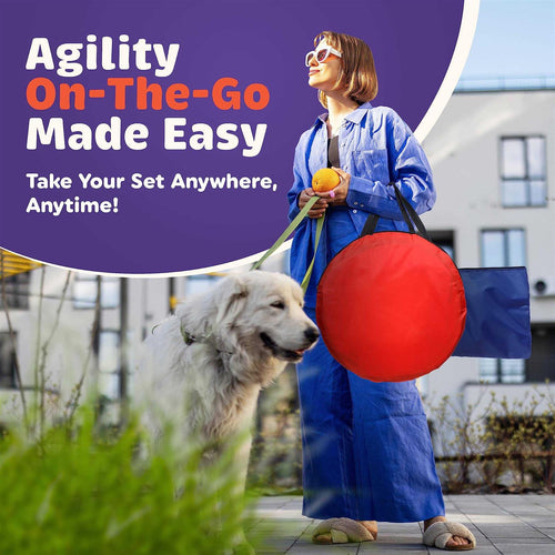 15 Piece Dog Agility Course Backyard Set Z772577