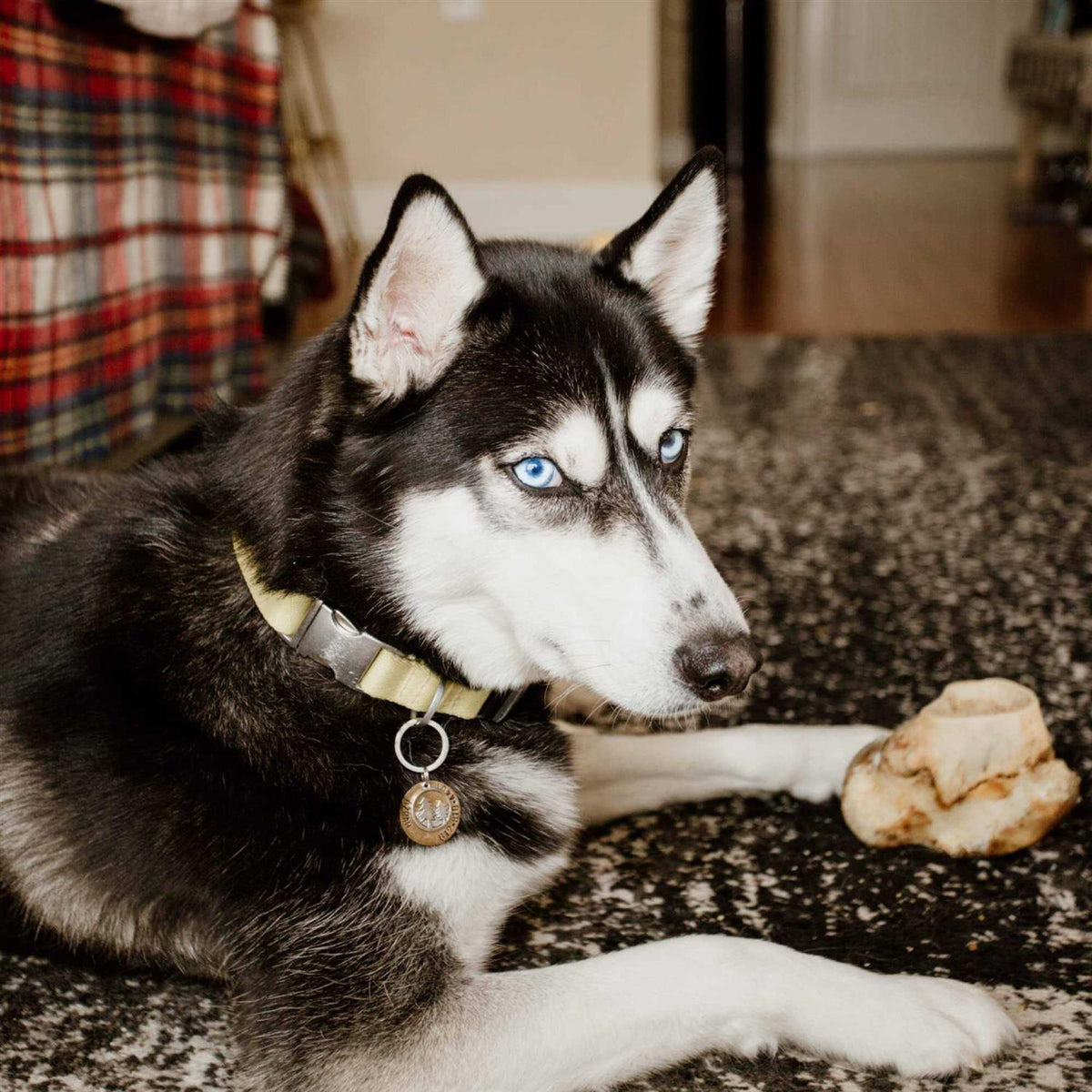 Knuckle Bone for Dogs M52249