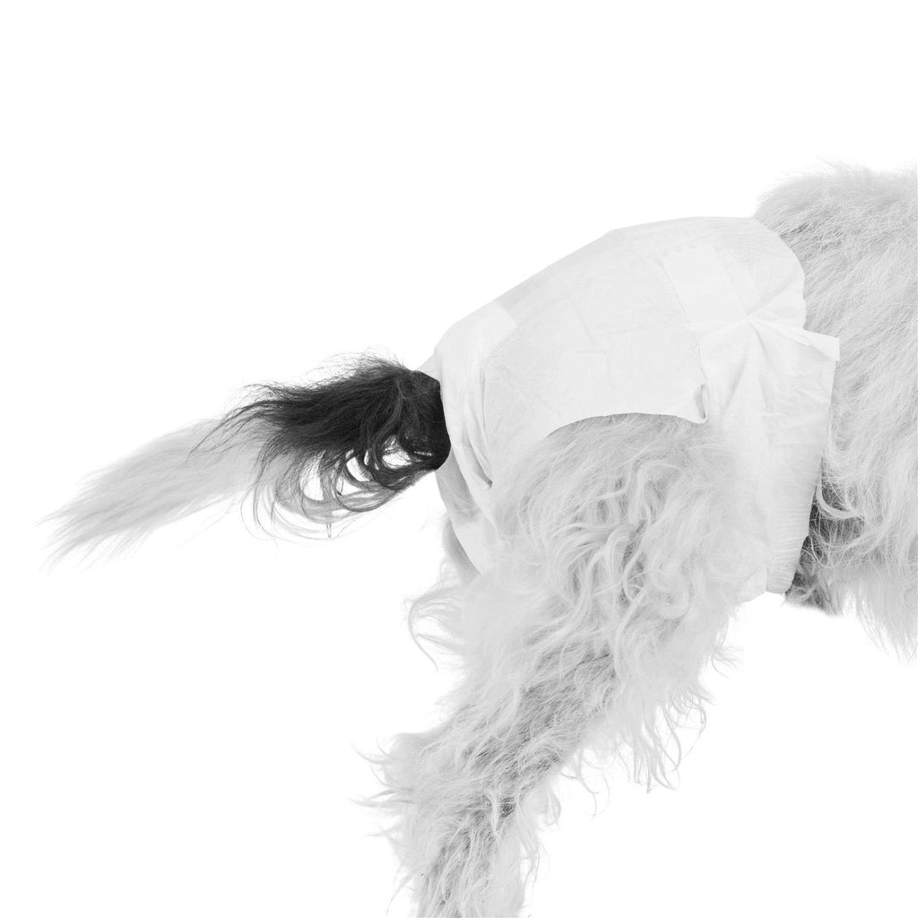 Disposable Pet Diapers B36469