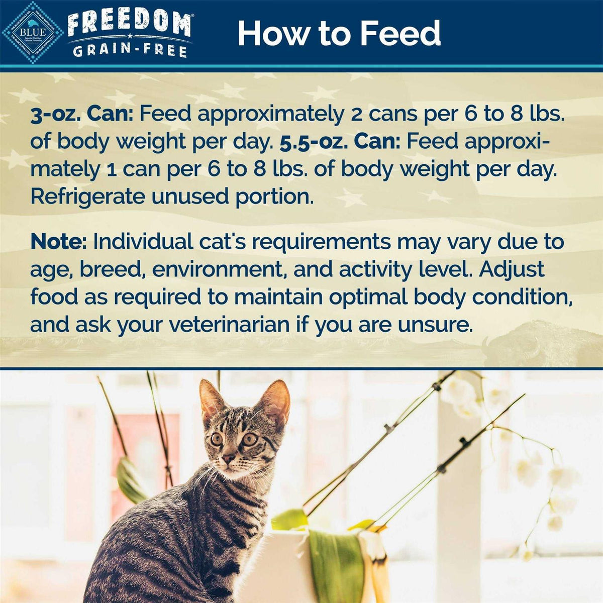 Grain-Free Indoor Canned Cat Food X675