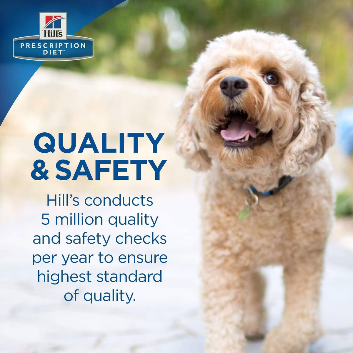 Therapeutic Digestive Care Dog Food, Chicken Flavor - 14.33 lb J96463
