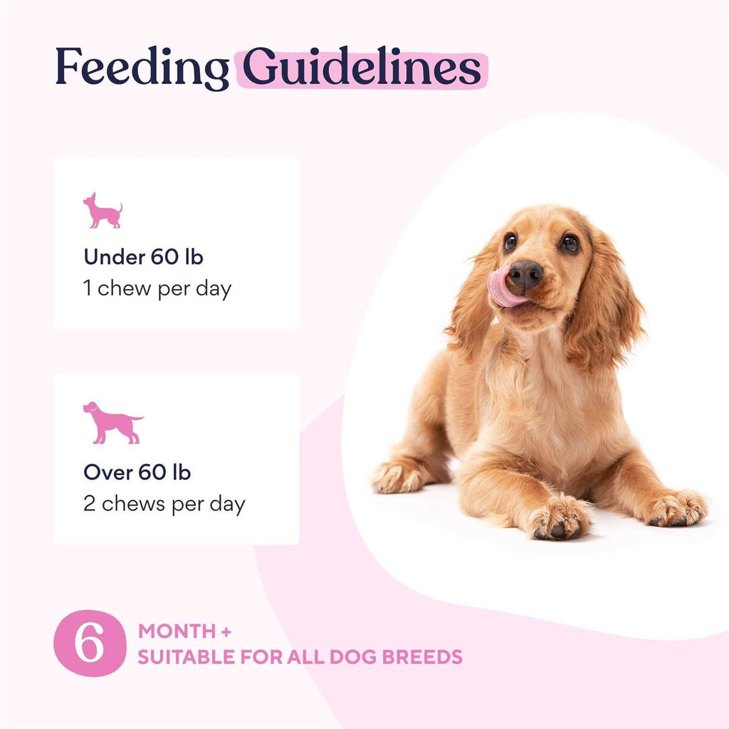 Multivitamin Chews Y502230