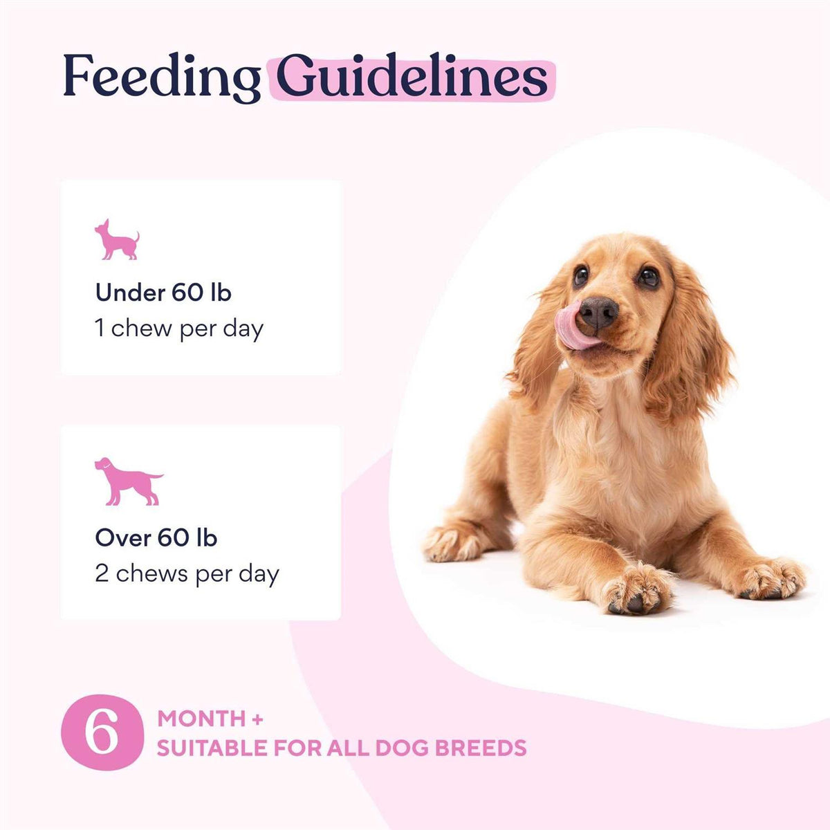 Multivitamin Chews Y502230