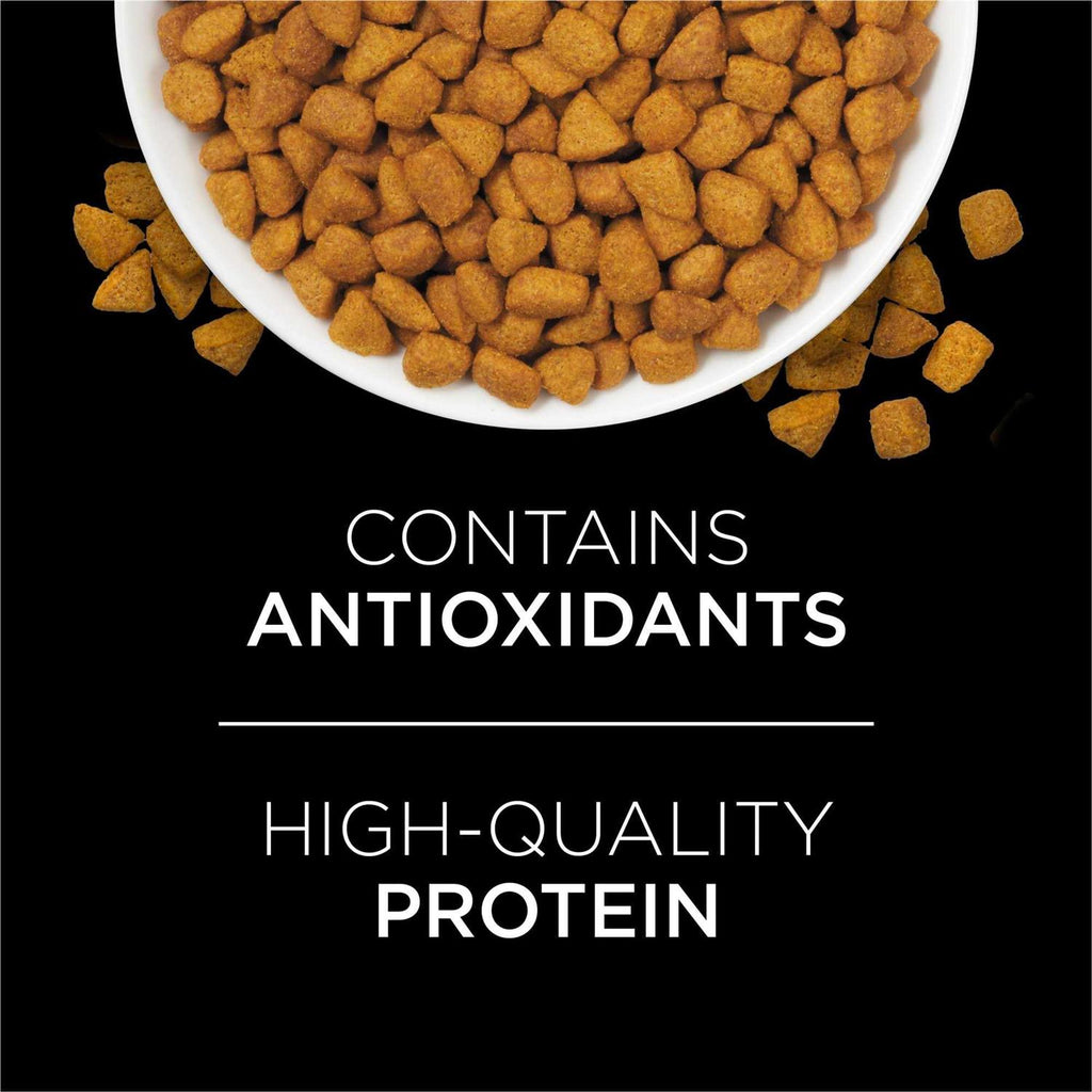 Urinary Dry Cat Food J1531