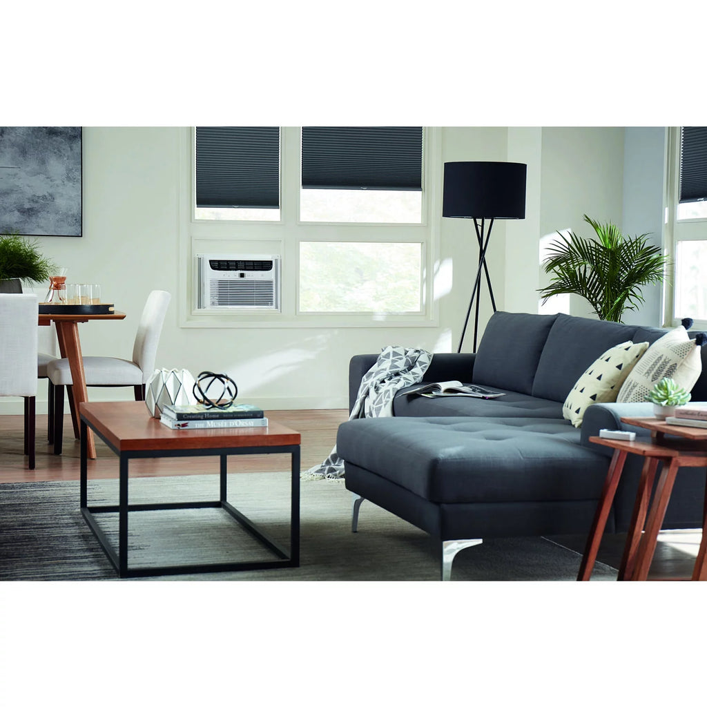 15,100 BTU Window-Mounted Air Conditioner T681