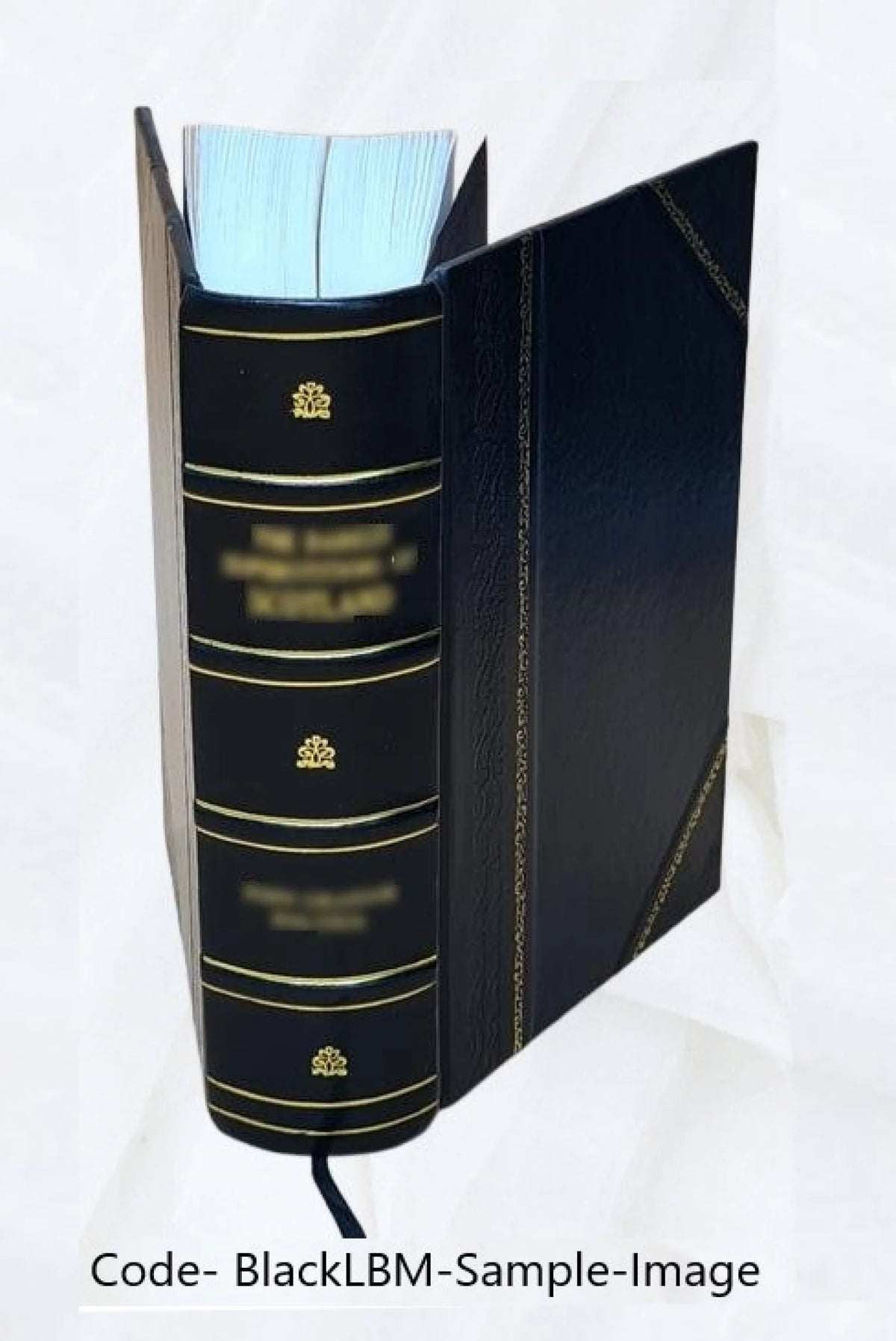 Commentaria in septem distinctiones de paenitentia Leather Bound R656075