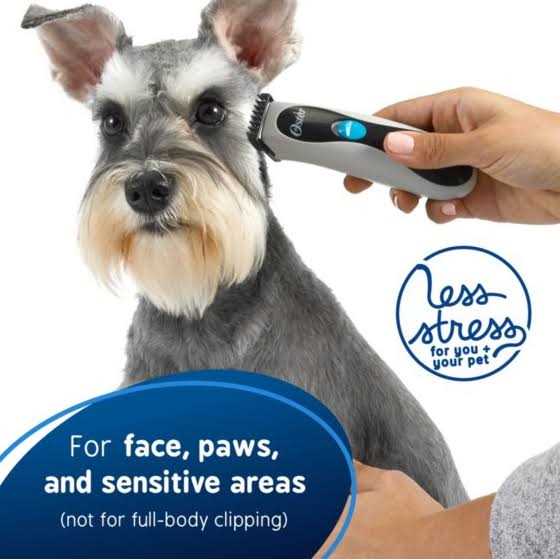 Cordless Dog and Cat Trimmer H487