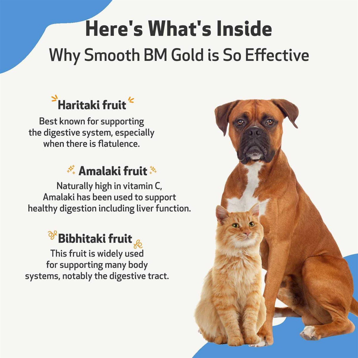 Smooth BM Gold Pet Supplies O526
