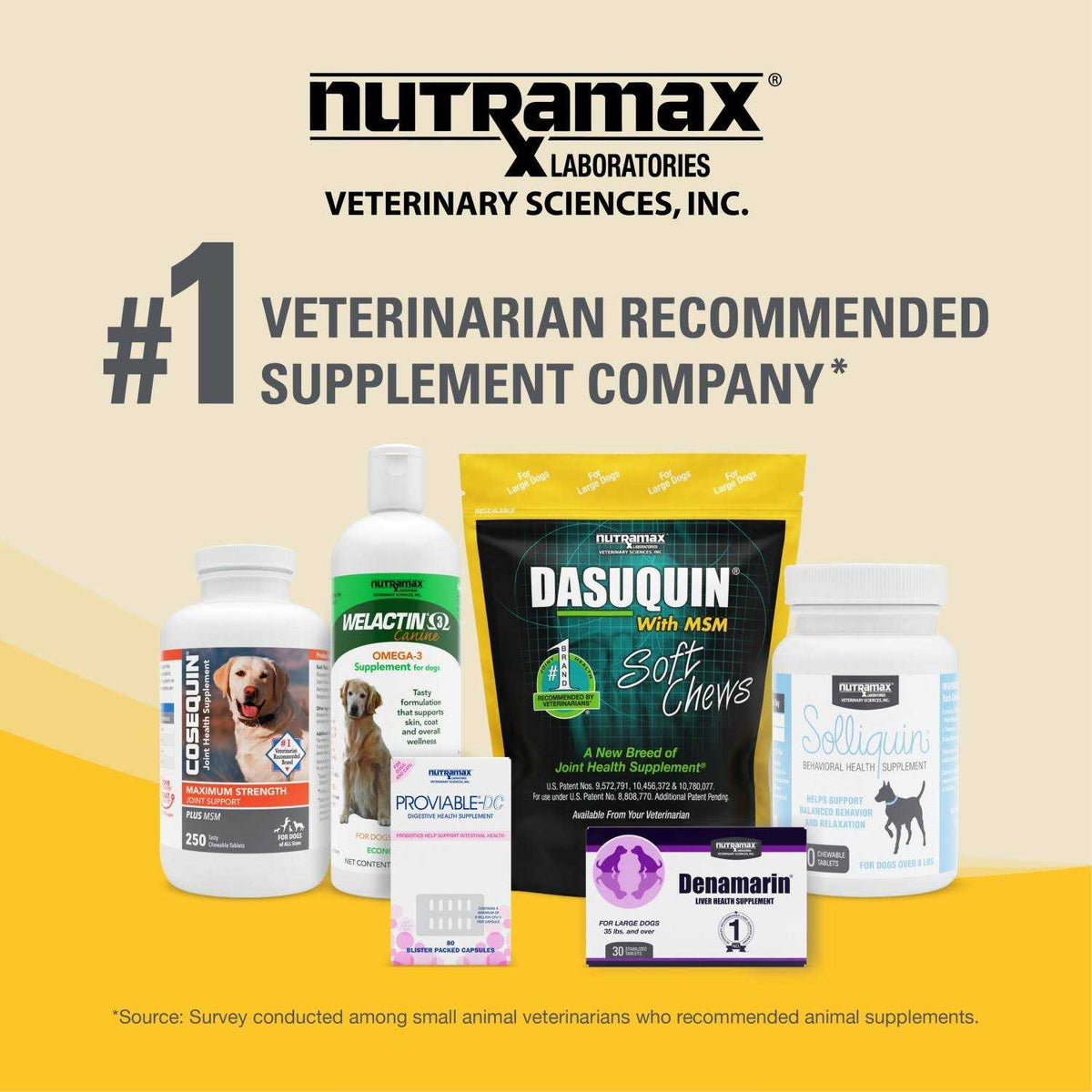 Large Dogs Joint Health Supplement W973642