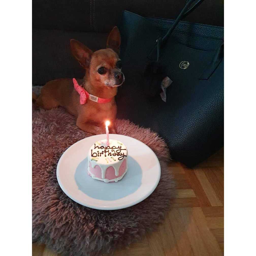Pink Birthday Cake X9762