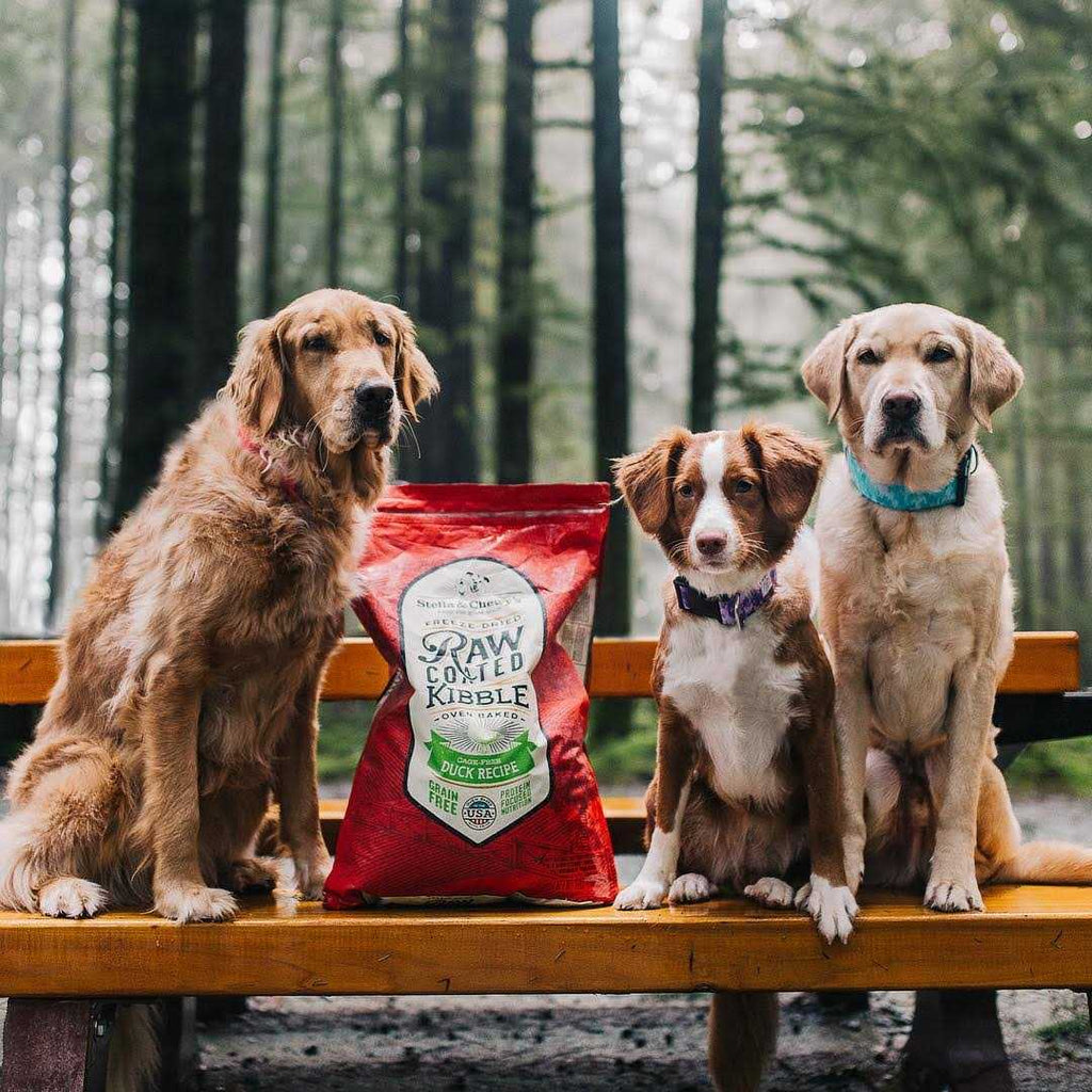 Cage-Free Duck Raw Coated Kibble Dog Food R236267