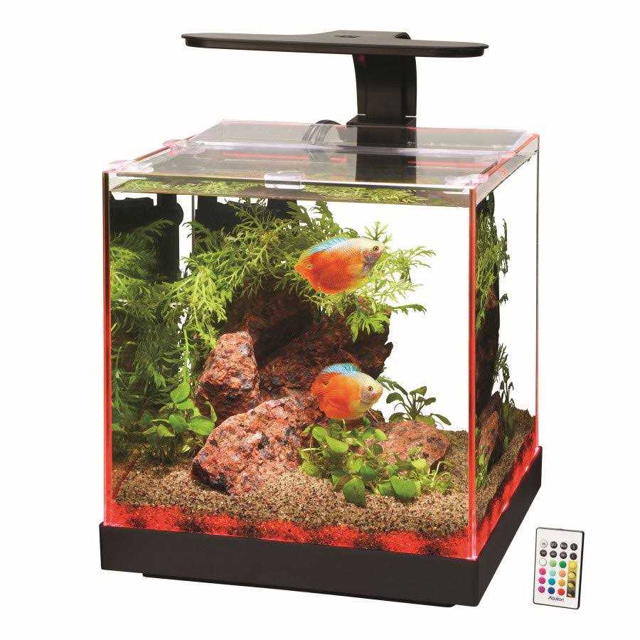 Aquarium X972