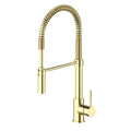 Kitchen Faucet R55354