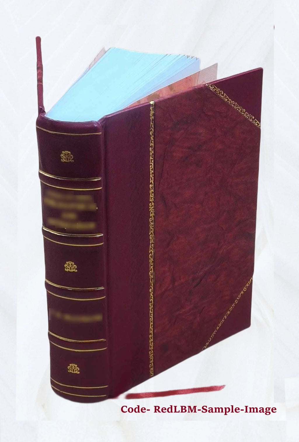 Commentaria in septem distinctiones de paenitentia Leather Bound R656075