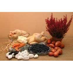 Grain Free Chicken Dog Food O2040