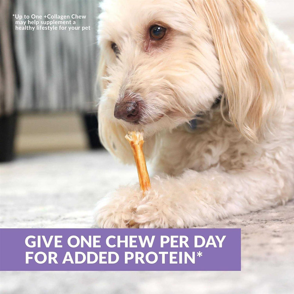 Beef Collagen Sticks Dog Chews K53804