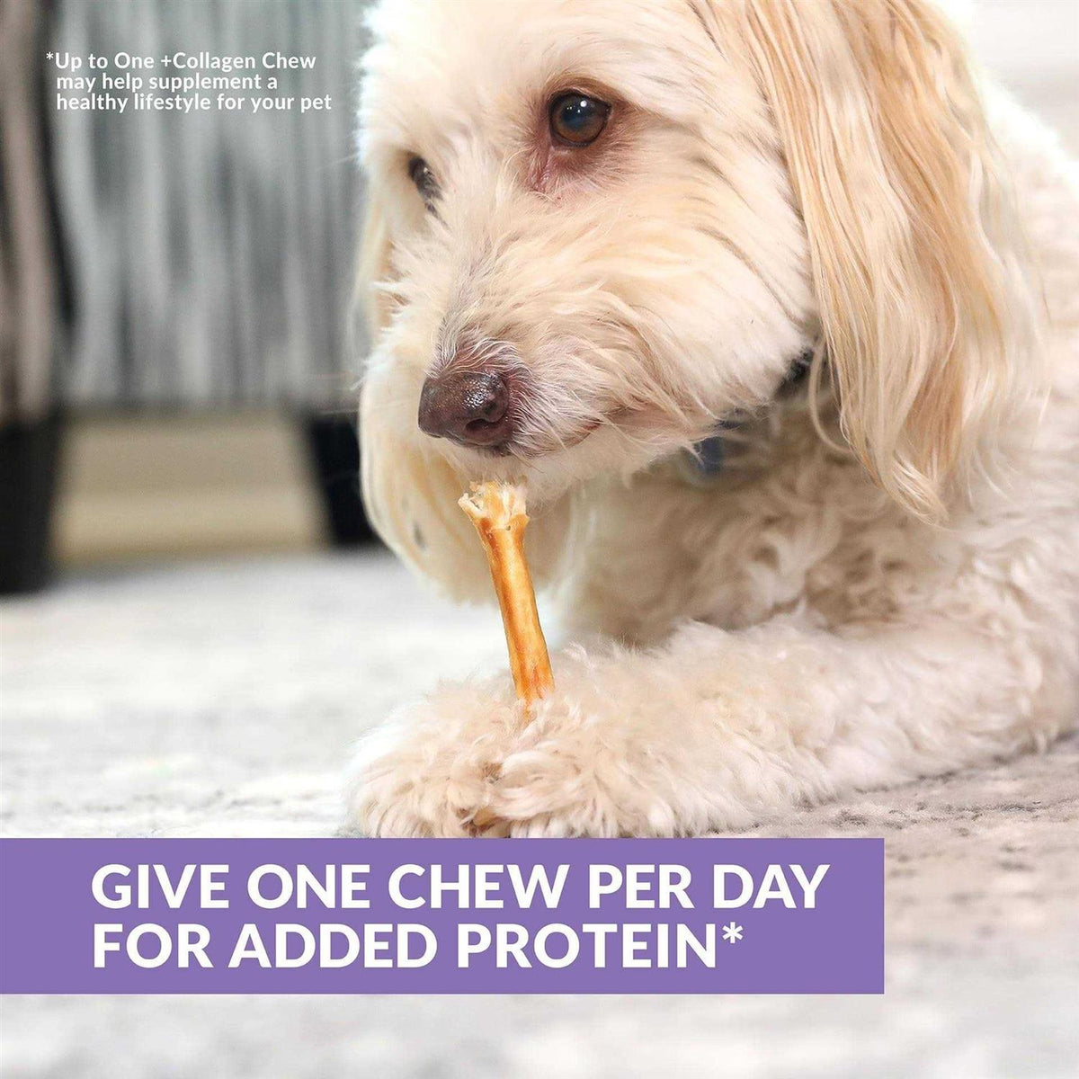 Beef Collagen Sticks Dog Chews K53804