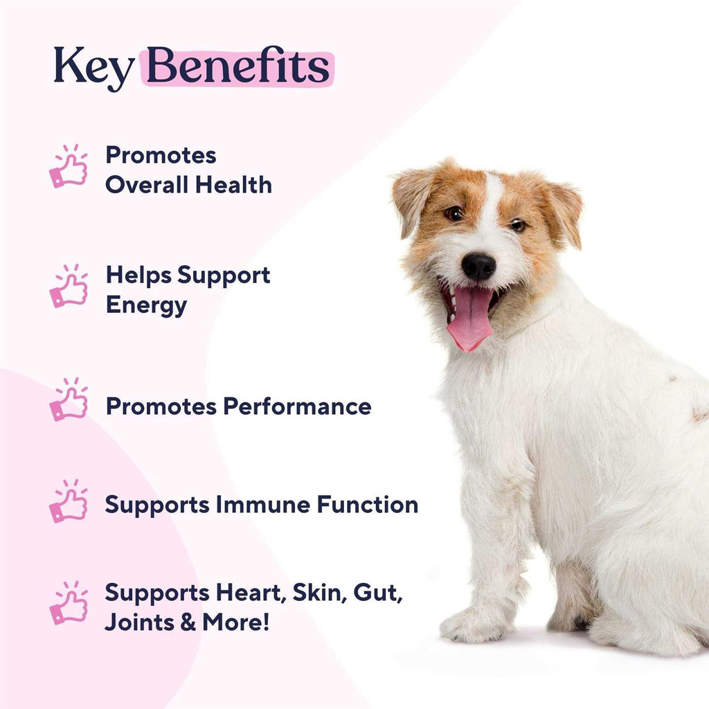 Multivitamin Chews Y502230
