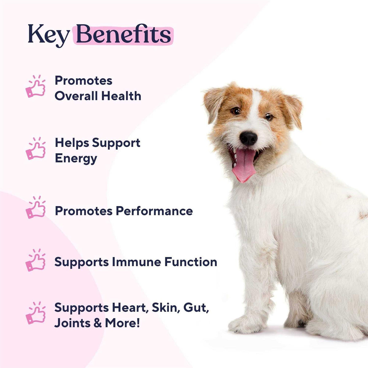 Multivitamin Chews Y502230