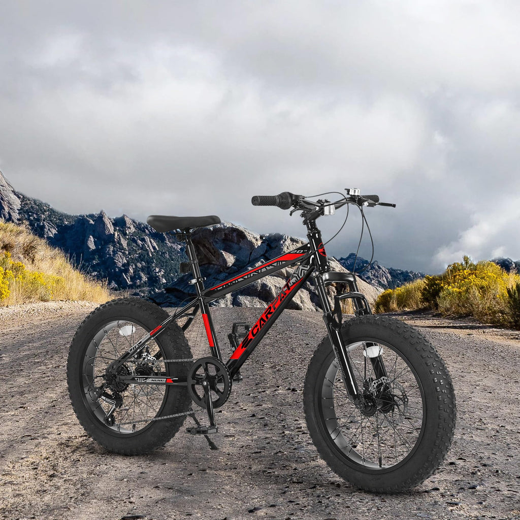 20 Inch Fat Tire 7 Speed Kids Bike P317283