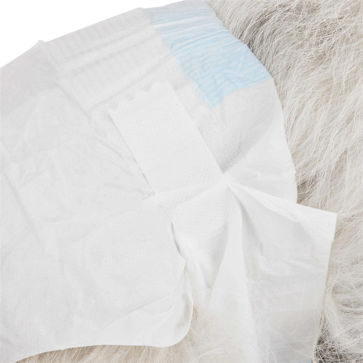 Disposable Pet Diapers B36469